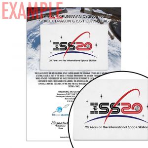 SpaceX & ISS Flown ISS 20 Flag