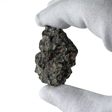 32.64g Moon Meteorite / Lahmada 020