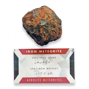 Uruacu Iron Meteorite 287g