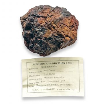 Wolf Creek Iron Meteorite 251g