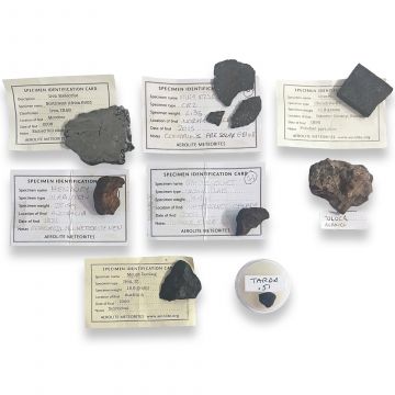 Meteorite Collection #5