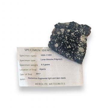 NWA 11303 Lunar Meteorite 8.5g