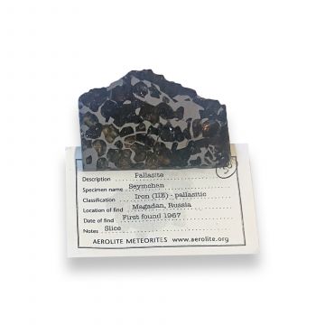 Seymchan Pallasite Meteorite 24.3g