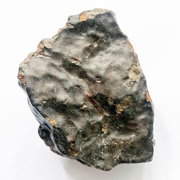 NWA 7998 Stone Meteorite 921.8g