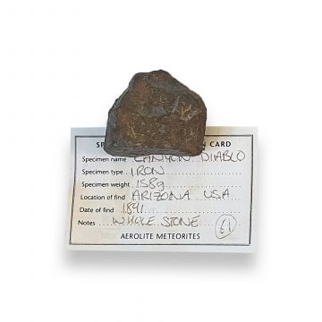 Canyon Diablo Iron Meteorite 158g