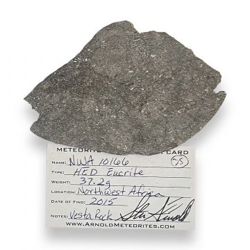NWA 10166 Vesta Meteorite 37g