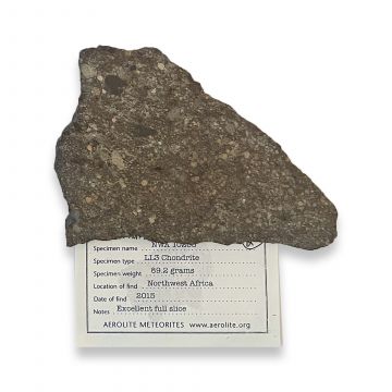 NWA 10255 Stone Meteorite 89g